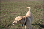 IMG_2965.jpg