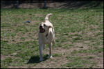 IMG_7982.jpg