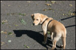 IMG_2440.jpg