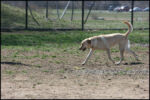 IMG_7973.jpg