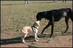 IMG_2676.jpg