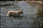 IMG_4889.jpg