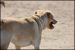 IMG_7950.jpg