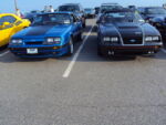 dsc00918bm.jpg