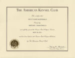 cgc-cert.jpg