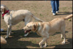 IMG_3824.jpg