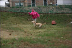 IMG_7169.jpg