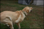 IMG_7287.jpg