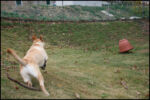 IMG_7273.jpg