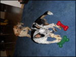 DSCN2517.jpg