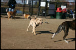 IMG_2645.jpg