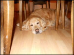DSCN2510.jpg
