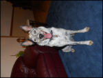DSCN2437.jpg