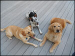 DSCN2499.jpg