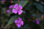 IMG_6801.jpg