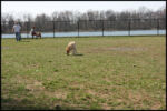 IMG_3791.jpg