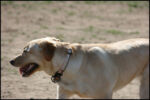 IMG_7953.jpg