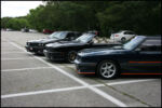IMG_1423.jpg