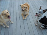 DSCN2473.jpg