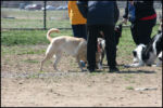 IMG_7971.jpg