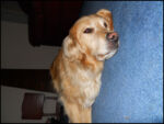 DSCN2529.jpg