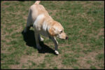 IMG_4439.jpg