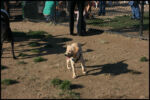 IMG_2830.jpg