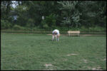 IMG_4570.jpg