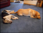 DSCN2463.jpg