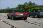 IMG_3142.jpg
