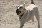 IMG_7990.jpg