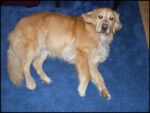 DSCN2458.jpg
