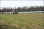 IMG_3792.jpg