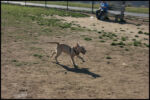 IMG_2828.jpg