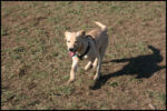 IMG_2790.jpg