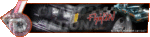 FlyinGNSig.gif