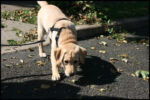 IMG_2439.jpg
