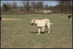 IMG_3846.jpg