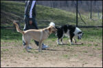 IMG_7975.jpg