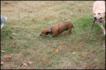 IMG_7334.jpg