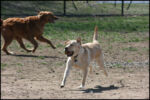 IMG_7987.jpg