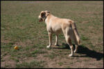 IMG_3800.jpg
