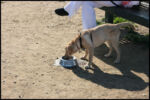 IMG_2575.jpg