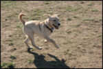 IMG_2639.jpg