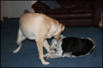 IMG_9867.jpg