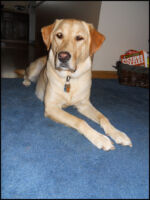 DSCN2523.jpg