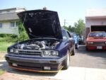 Fox-a-Que2010005.jpg