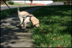 IMG_2249.jpg