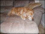 DSCN2506.jpg