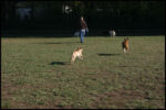 IMG_2815.jpg